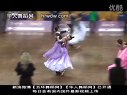 2011���CBDFְҵҵ��������ܾ���רҵ14��������M ���� ����� �����