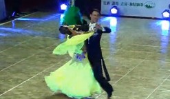 2012WDSF׼豱 һ άҲɻ