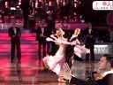 2013WDC�����׼��ְҵ�������ķ�֮һ����̽��Eldar Dzhafarov-Anna Sazhina,Azerbaijan,1 4 Tango