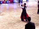 2013���й������赸������������վ���ٶ����׼��Ԥ��̽��л��ɼ����Ө30