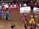 2013���CBDF�й���Ѳ�����ܾ���ҵ��12��������M����������00724