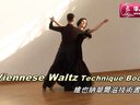 άҲɻļViennese Waltz Technique