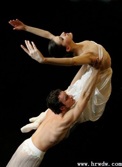 ��Ѱ��֮�� �趯���̡����Ҵ��Ժ2014�赸��¡�صǳ�