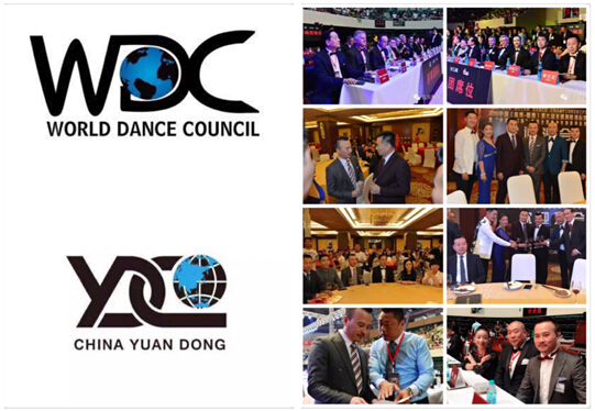 2015WDC.AL赸YDCйԶϵڶ赸