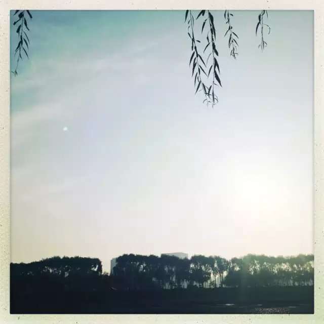 Ϊ˼жŵ峿£